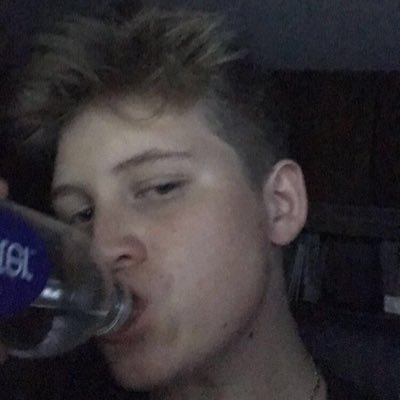 Profile Picture of David Frei (@david_frei21) on Twitter
