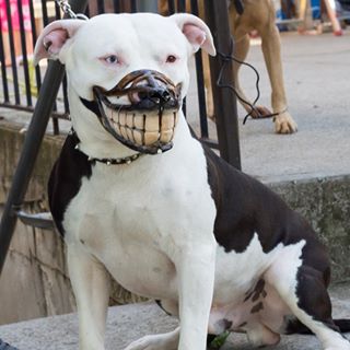 Profile Picture of Jason Rowley (@Jason-Rowley) on Facebook