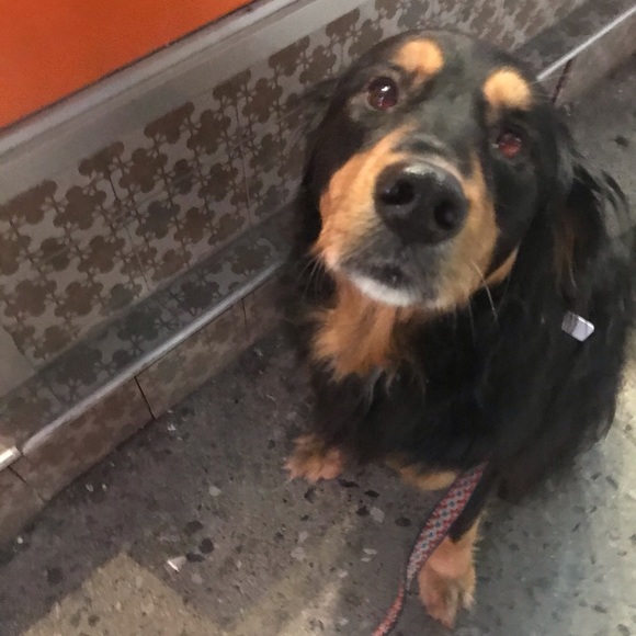 Zoey Zoey - Poshmark Profile Picture of Zoey Zoey (@zoey4554) on Poshmark