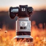 Profile Picture of Malk Scott grapher (@malkscottgrapher) on Instagram