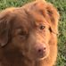 Profile Picture of Lorie Bates (@lorie.bates.739) on Facebook