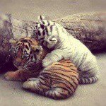 Profile Picture of eileen_kecks (@eileen_traxel) on Instagram