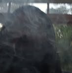 Profile Picture of Andrew Garrison (@andrew.garrison.241606) on Facebook