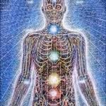 Profile Picture of George Spector (@spectorgeorge) on Instagram