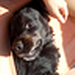 Profile Picture of Manuel Monroy Fernandez (@manuel monroy fernandez) on Flickr