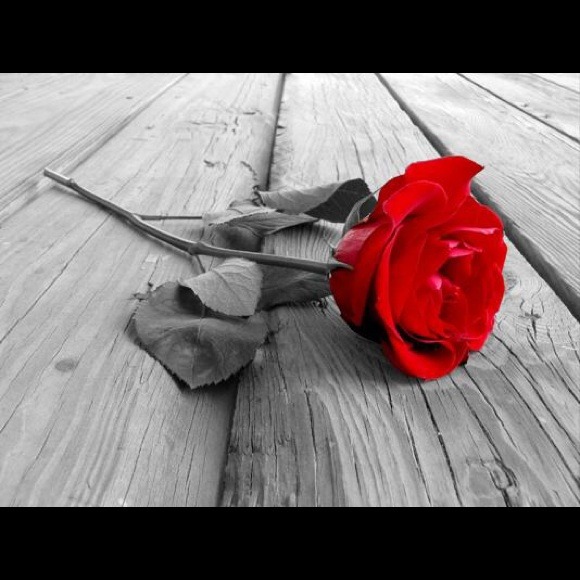 Profile Picture of Christina Wollin (@beautyfulllife) on Poshmark