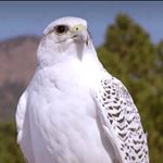 Profile Picture of Cindy L. (@lindner917) on Instagram