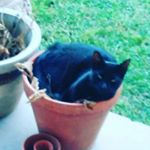 Profile Picture of James zerr (@zerrjames) on Instagram