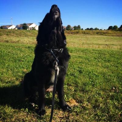 Profile Picture of Kyle Engelmann (@kengelmann) on Twitter