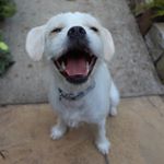 Rob Holley - Instagram Profile Picture of Rob Holley (@robholley1988) on Instagram