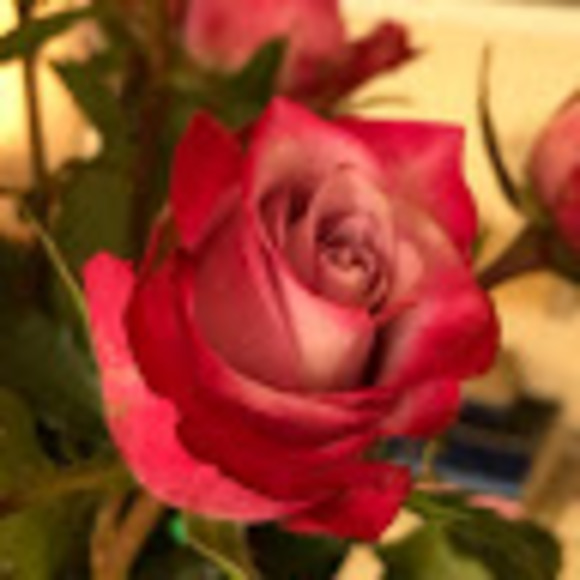 Profile Picture of F Correa (@fcorrea524) on Poshmark