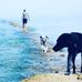 Profile Picture of Max Richter (@max.richter.7) on Facebook