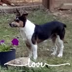 Profile Picture of Kim Griswold (@kim.griswold.739) on Facebook