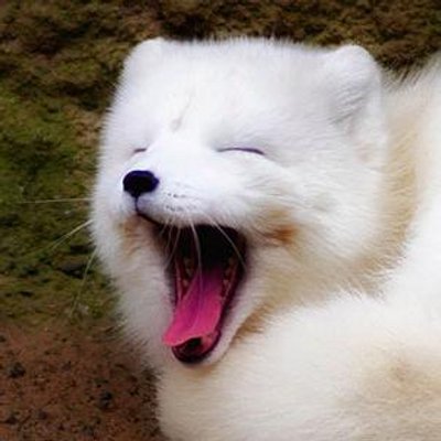 Rory Byrne - Twitter Profile Picture of Rory Byrne (@Rorybyrne77) on Twitter