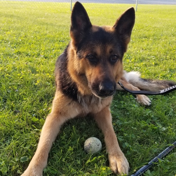 Profile Picture of Stacie Orlikowski (@stacie0429) on Poshmark