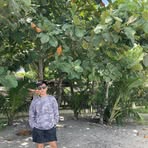 Profile Picture of Joshua Amistad (@joshua.japsop) on Facebook