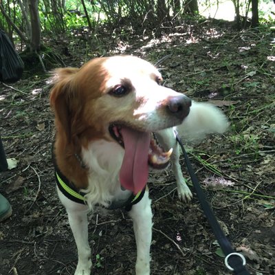 Profile Picture of Colin Grant (@DrColinGrant) on Twitter
