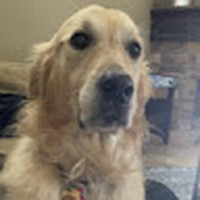 Profile Picture of Kelly Gillman (@kelly-gillman-5) on Quora