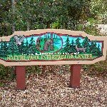 Peter Landy - Instagram Profile Picture of Peter Landy (@landypeter) on Instagram