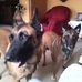 Profile Picture of Nadine Burmeister (@Nadine-Burmeister) on Facebook