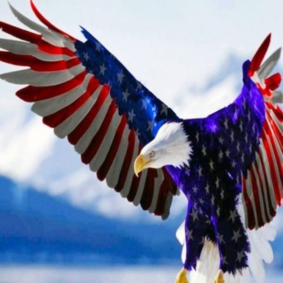 Profile Picture of Kelvin Jones (@jacedaddy2011) on Poshmark