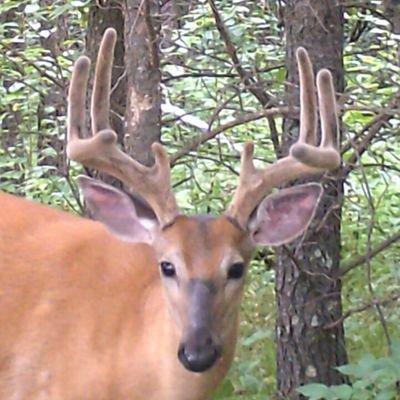 Profile Picture of Joe Gardas (@JGardas) on Twitter