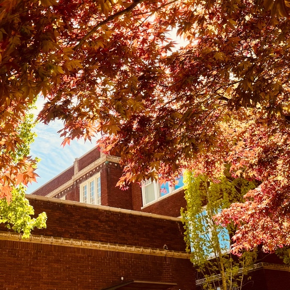 Profile Picture of Nico Zenga (@nicozenga) on Poshmark