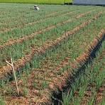 Profile Picture of Tây Nguyễn (@tay.nguyen.851346) on Facebook