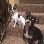 Robin LaFerrara - Instagram Profile Picture of Robin LaFerrara (@robinlaferrara) on Instagram