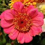 Profile Picture of Sandra Butler (@tkdmom66) on Instagram