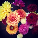 Profile Picture of David Edge (@niverbus) on Instagram