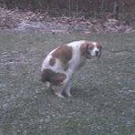 Profile Picture of Jesse Beemer (@jesse.beemer.9) on Facebook