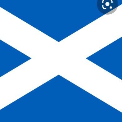 Profile Picture of Scotland (@scotland.euros.1) on Tiktok