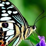 Profile Picture of Lorna Manalo (@lorna.manalo.9237) on Instagram