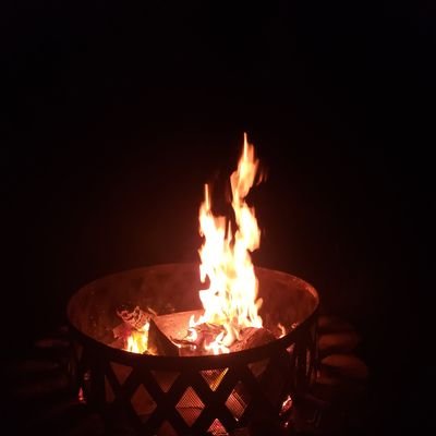 Profile Picture of Phillip Mullins (@PhillipMullin17) on Twitter