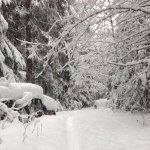 scotty newman - Instagram Profile Picture of scotty newman (@thereal_lifemoney) on Instagram