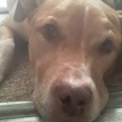 Profile Picture of Lisa Knuth (@lisaknuth2614) on Youtube