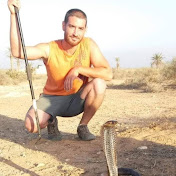 Profile Picture of Miguel “mundo Animal” Alonso (@miguelalonso1990) on Youtube