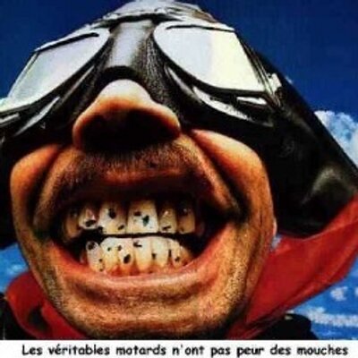 Profile Picture of Alex Mancino (@alexmancino) on Twitter