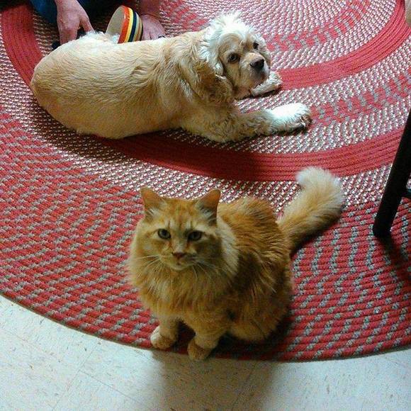 Profile Picture of David Finn (@dfinn111779) on Poshmark