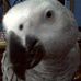 Profile Picture of Tweedley Dumpkin Zahn (@tweedleydumpkin.zahn) on Facebook