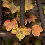 Profile Picture of Robmackay (@robmackay) on Flickr