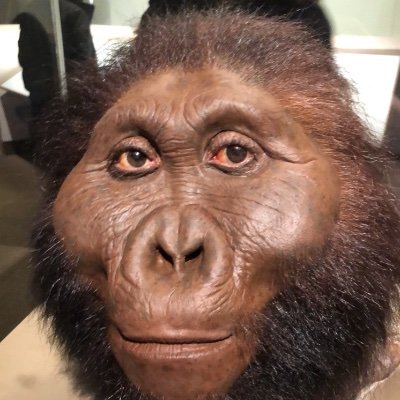 Profile Picture of Kevin Coen (@KevinCoen4) on Twitter