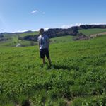 Profile Picture of David Scherz (@dscherz9) on Instagram