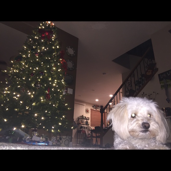 Profile Picture of Heather Karban (@hbin23) on Poshmark