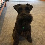 Joye Jones - Instagram Profile Picture of Joye Jones (@j_hannam) on Instagram