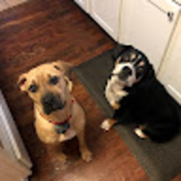 Profile Picture of Mary Cordova (@marymiller79) on Poshmark