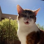 Profile Picture of Prince Garfield Timothy Samson (@prince_tim.sam) on Instagram