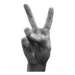 Profile Picture of Eric Timothy Carlson (@erictimothycarlson) on Instagram