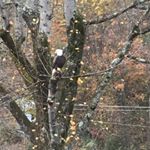 Profile Picture of Michael Burnett (@michael.burnett276) on Instagram